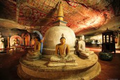 Dambulla Cave Temple - Timeless Sri Lanka Expedition - 8 Days