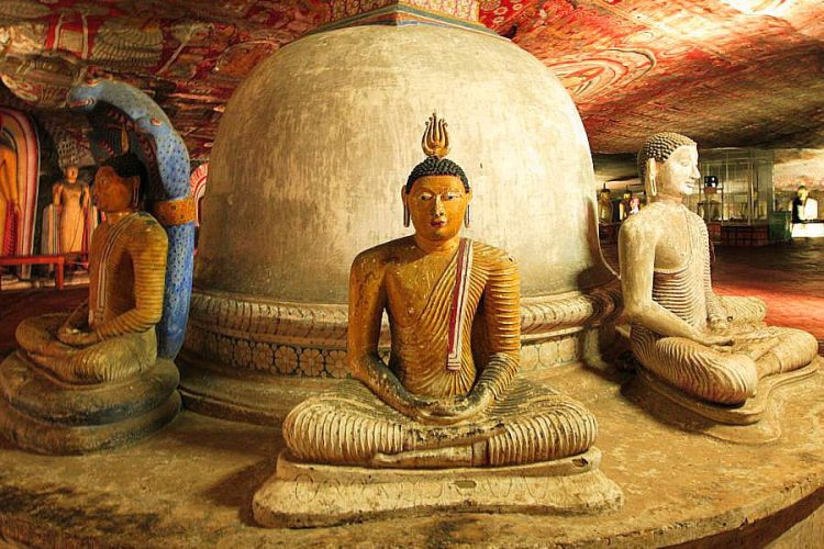 Explore Dambulla Rock Cave Temple - Sri Lanka Adventure Tours packages