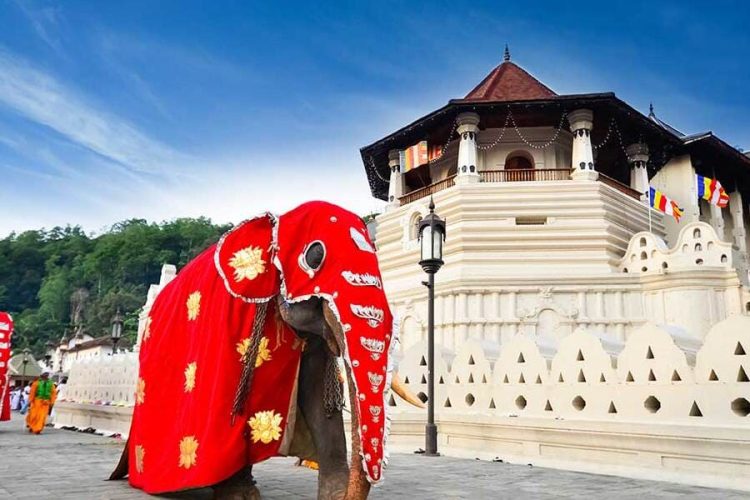 Explore The Temple Of The Scared Tooth Relic - Sri Lanka Tours