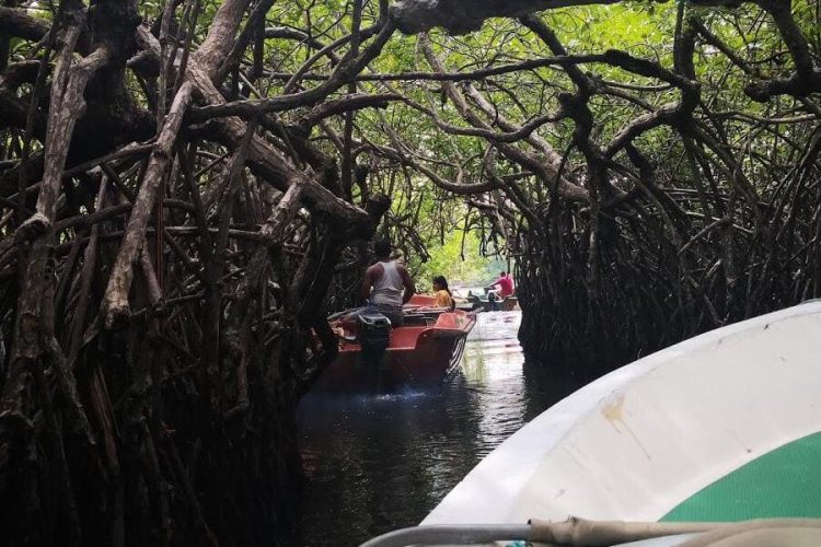 Madu River - Sri Lanka Adventure Tours Packages