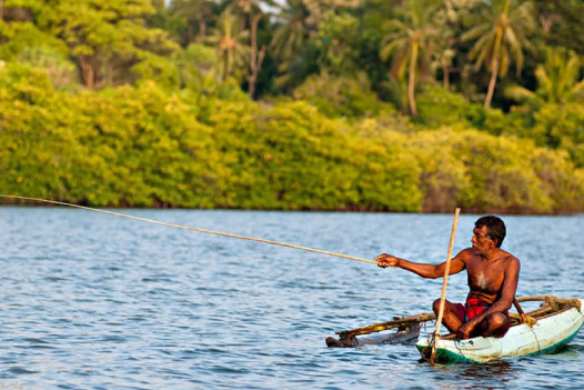 Madu River - sri lanka tours