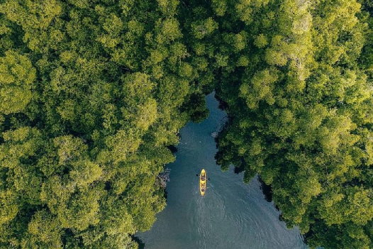 Madu River - sri lanka travel faqs