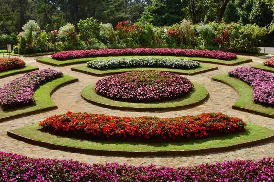 Peradeniya Botanical Garden - Sri Lanka adventure tours