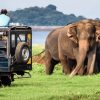 The Splendor of Paradise in Sri Lanka - 17 Days