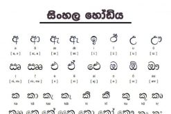 Sri Lanka Language – What Language Does the Sri Lankan Speak?