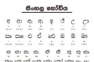 Sri Lanka Language – What Language Does the Sri Lankan Speak?