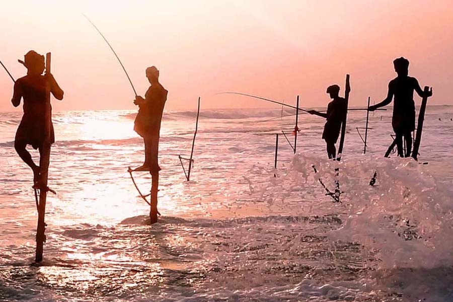 stilt fishermen - Sri Lanka adventure tour packages